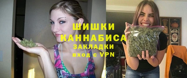 сатива Новодвинск