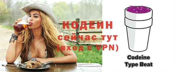 эйфоретик Няндома