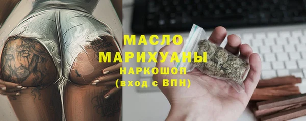 сатива Новодвинск