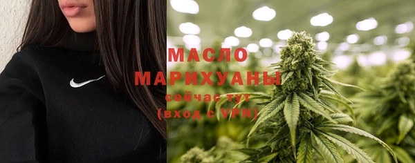 сатива Новодвинск
