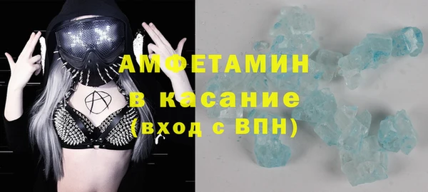 сатива Новодвинск