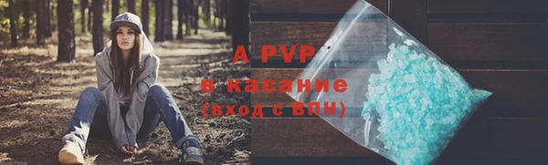 таблы Новозыбков
