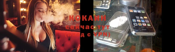 ешки Снежногорск