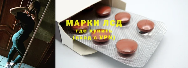 сатива Новодвинск