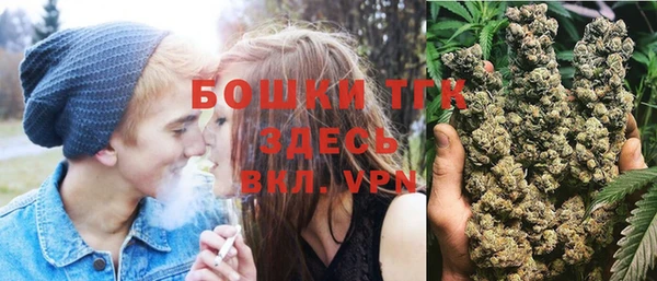 сатива Новодвинск