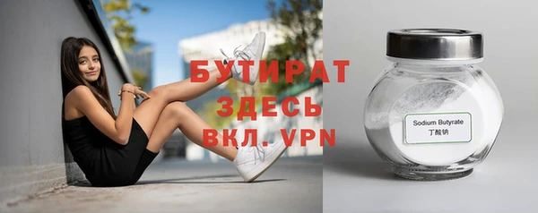 сатива Новодвинск