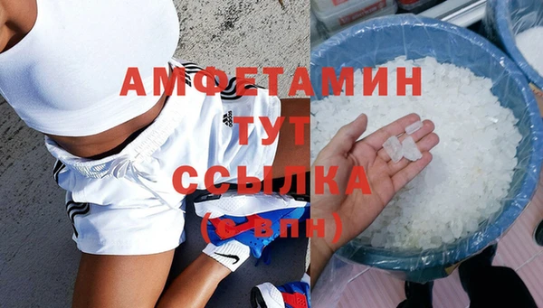 сатива Новодвинск