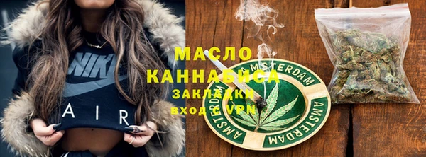 сатива Новодвинск