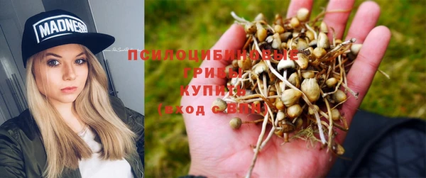 эйфоретик Няндома