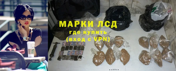 сатива Новодвинск