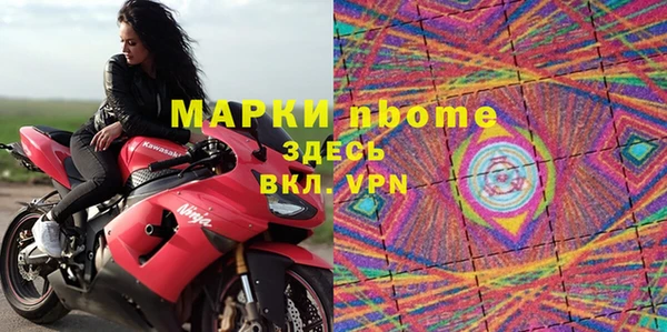 сатива Новодвинск