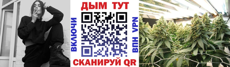 мега как зайти  Комсомольск  Каннабис индика  как найти  